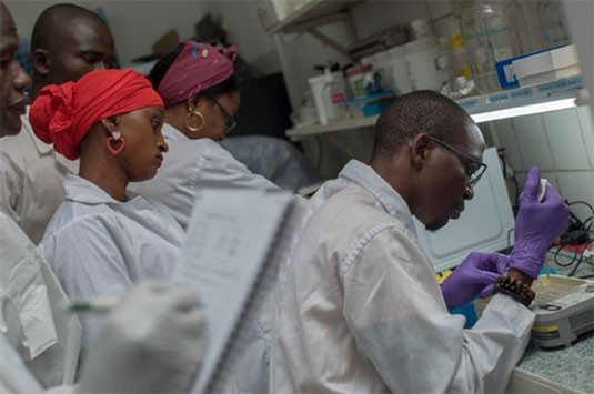 EU–Africa research partnerships involving 19 European and 41 African countries